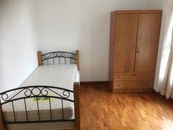 Oleander Towers (D12), Apartment #136298492